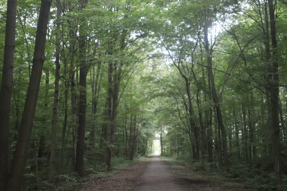 Gerry Berkhout Trail, Pelham