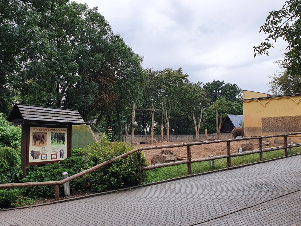 Zoo Plock景点图片