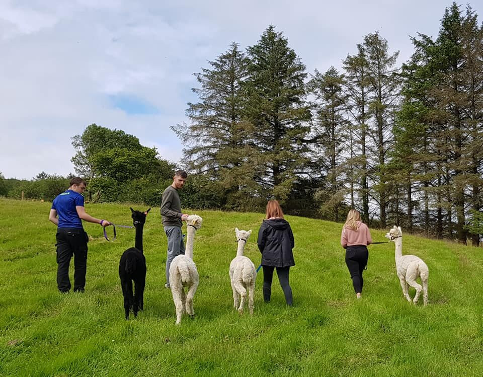 Curraghduff Farm景点图片