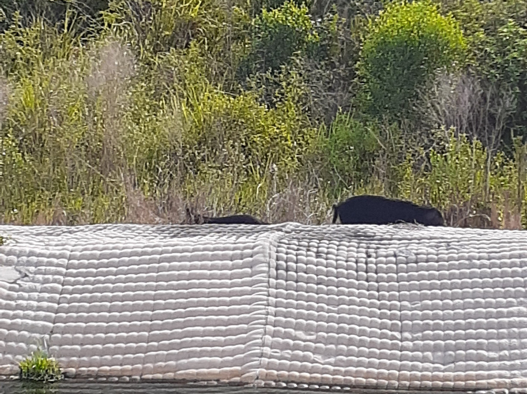 Se7en Wetlands-莱克兰必去景点