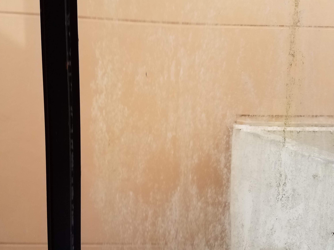 Holiday Inn Express & Suites Ft. Lauderdale-plantation By IHG主图