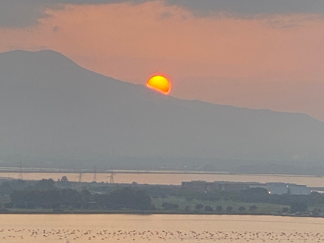 Arasolè - Day tours and experiences in Sardinia-卡利亚里省必去景点