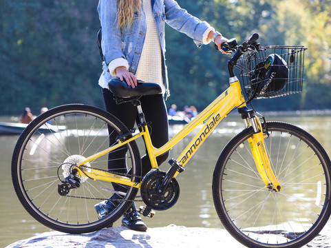 Unlimited Biking-纽约市必去景点