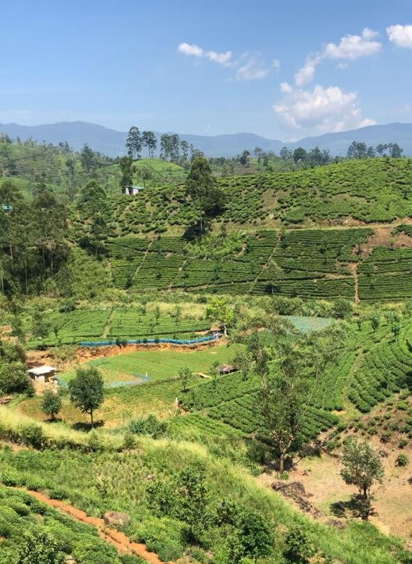 La Casa Lindula主图