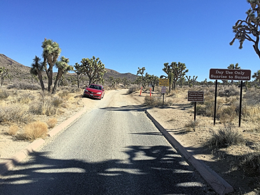 Johnny Lang Grave-约书亚树国家公园必去景点