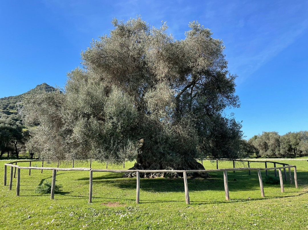 S'Ortu Mannu-Villamassargia必去景点