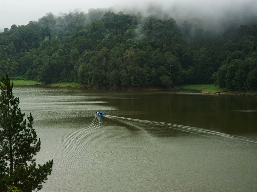 Patenggang Lake景点图片