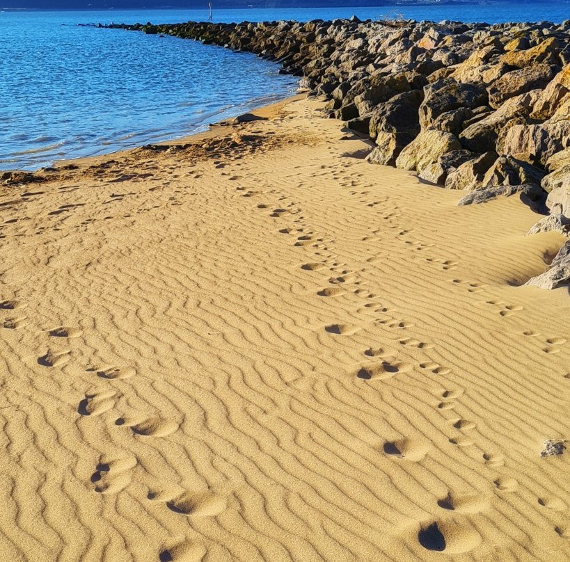 West Shore Beach景点图片