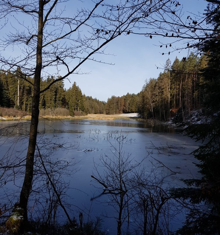 Dreiburgensee - Rothauer See-Tittling必去景点