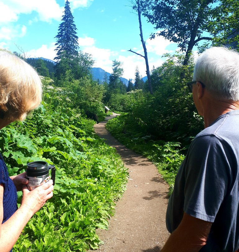 Skunk Cabbage Boardwalk-雷夫尔斯托克必去景点