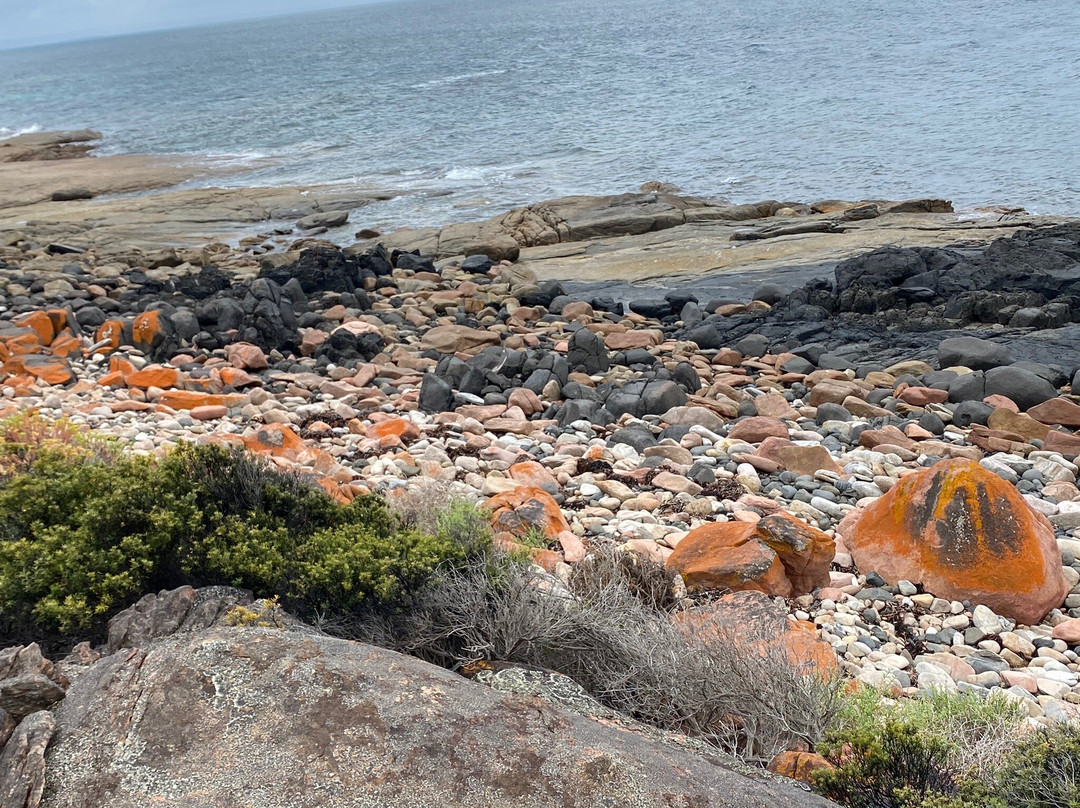 Lincoln National Park-Port Lincoln必去景点