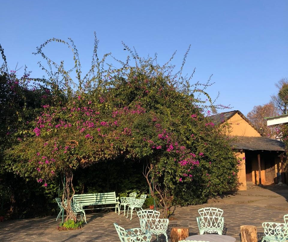 Colonel's Resort主图