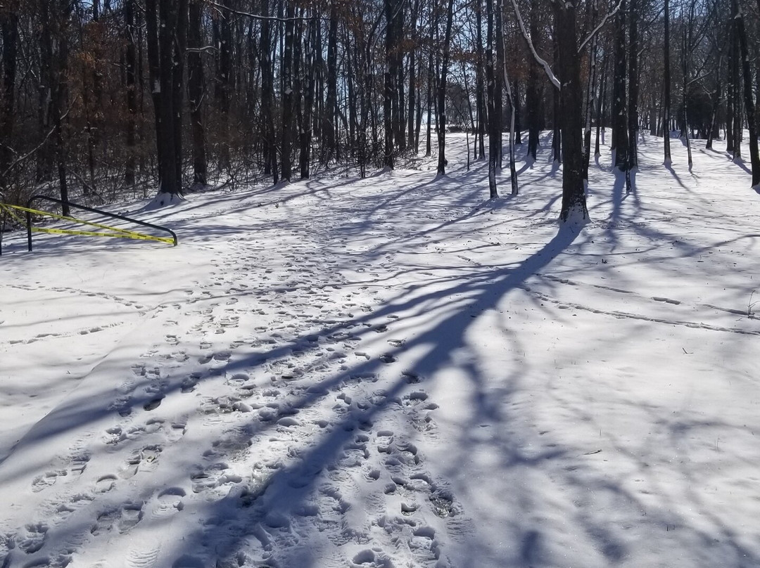 McDonnell County Park景点图片
