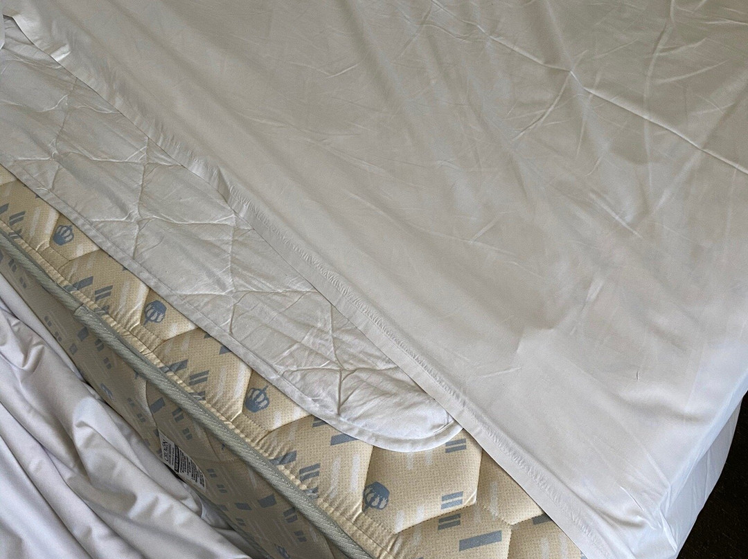 奎斯特芒特阿伯特酒店主图