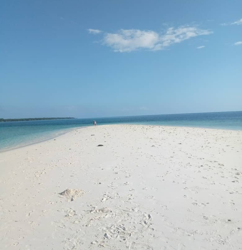 Be happy with smart driver (Mr. hafidh) and professional guide in  Zanzibar-Kizimkazi Dimbani必去景点