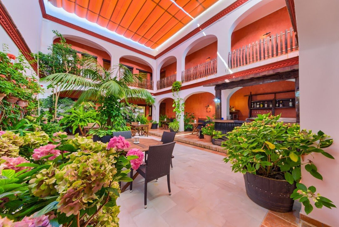 Hotel Pozo Rey主图