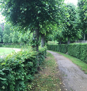 Schlosspark-莫里茨堡必去景点