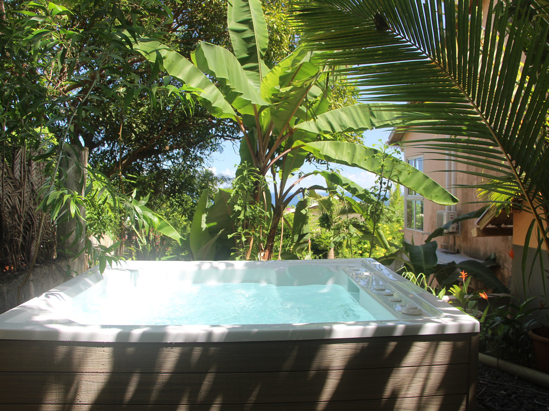 Le Lodge de l'Avocatier主图