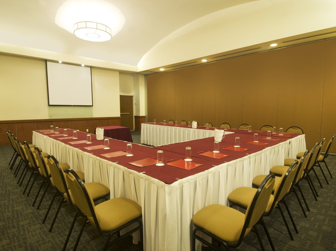 Fiesta Inn Puebla Finsa主图