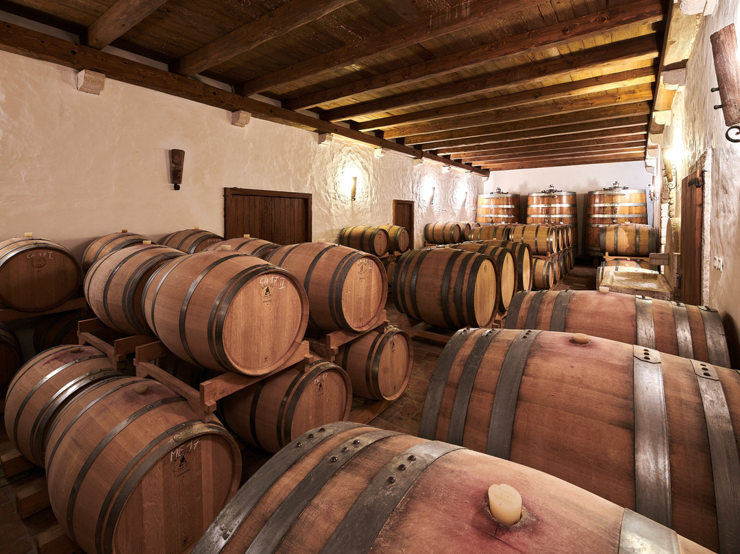 Kabola Winery-Momjan必去景点