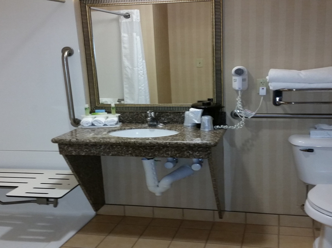 Holiday Inn Express & Suites New Buffalo, Mi By IHG主图