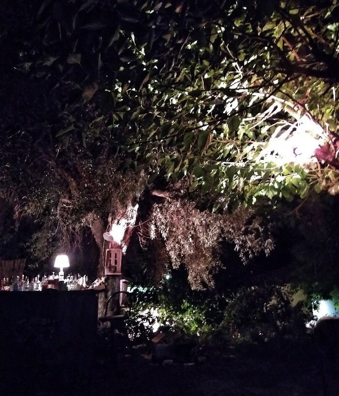 The Backyard Bar景点图片