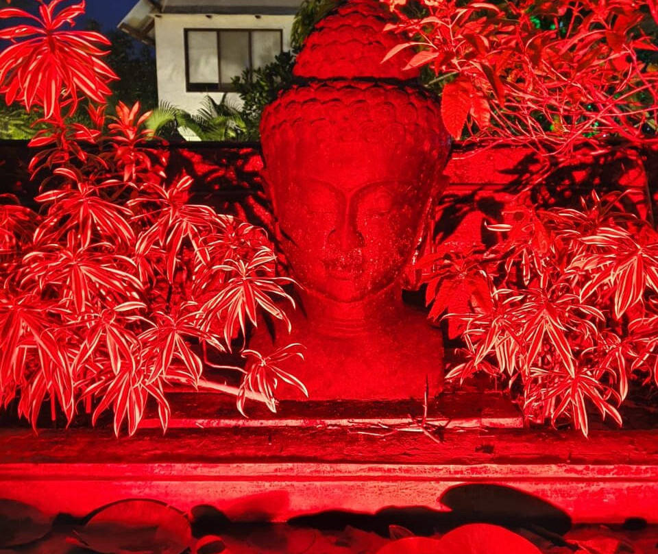 Exotica Suvarna Samudra主图