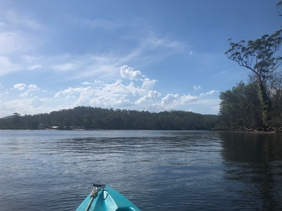 Nelligen Kayak Hire景点图片