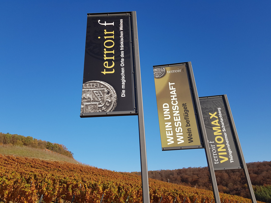 terroir f Thüngersheim "Wein aus Wissenschaft"景点图片
