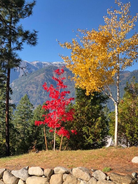 Cashmere Mountain Bed & Breakfast主图