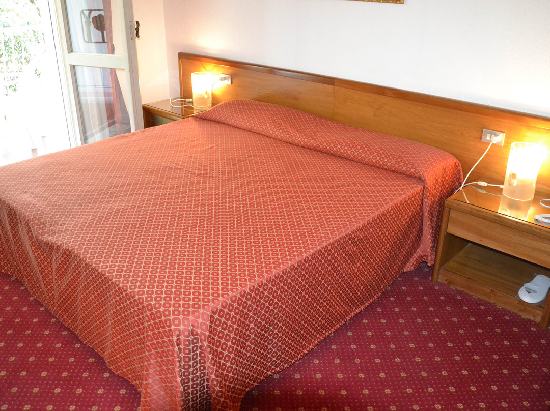 Park Hotel Ravenna主图