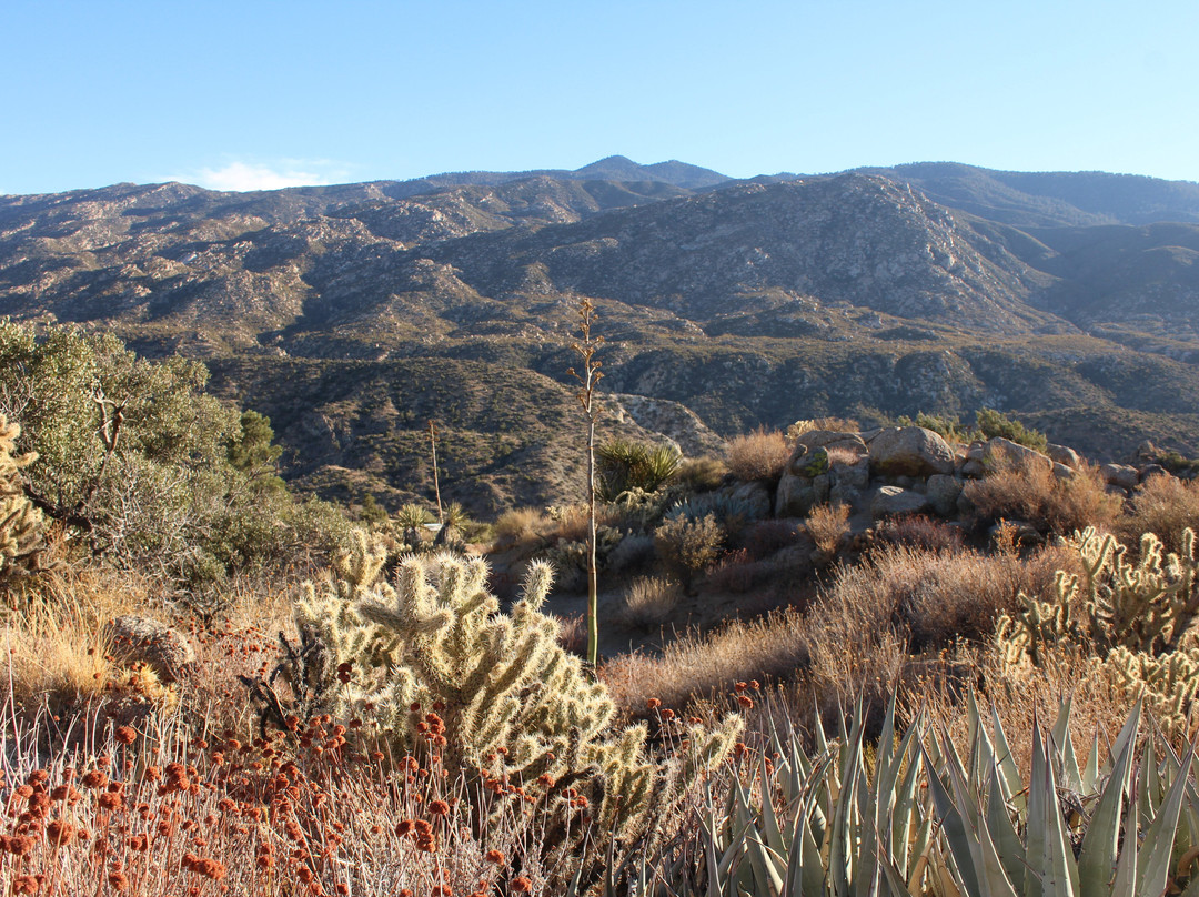 Coachella Valley Vista Point-棕榈沙漠必去景点