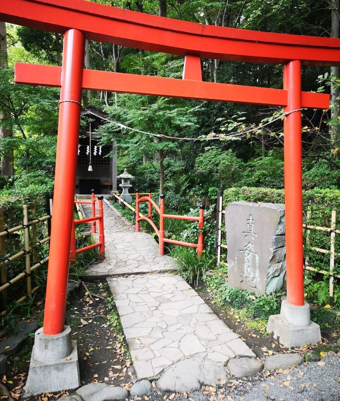 Otaka no Michi Spring Park-国分寺市必去景点