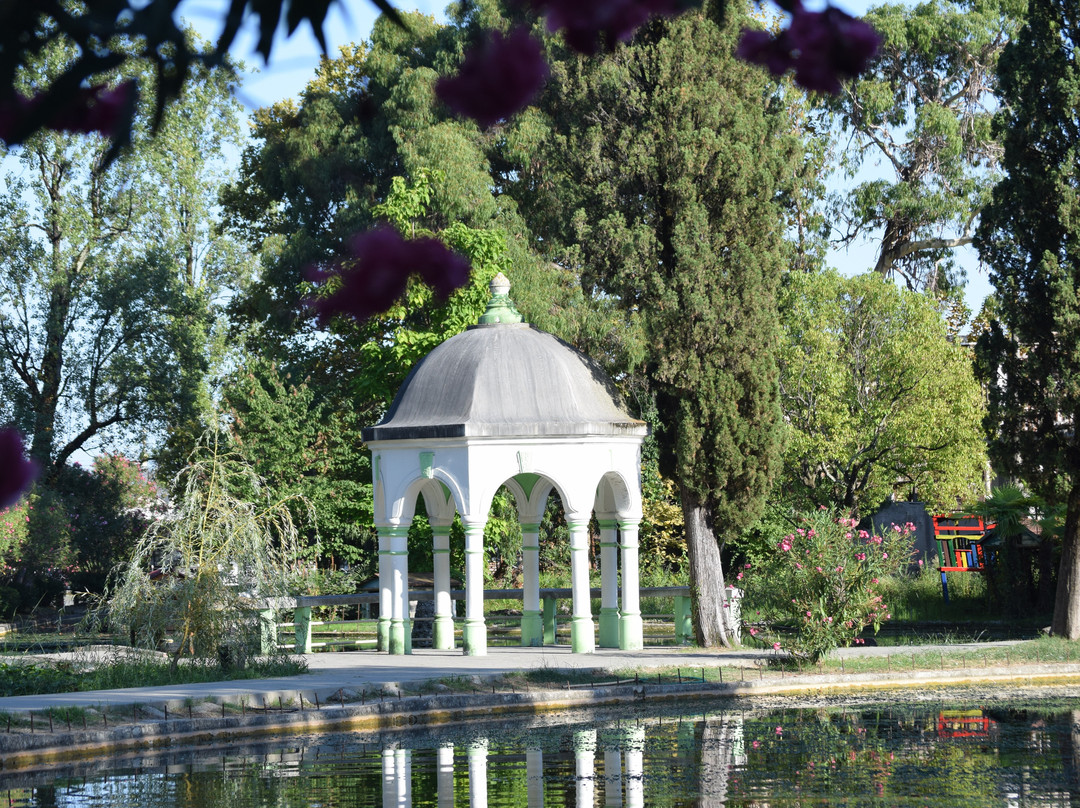 Park With Swans-New Athos必去景点