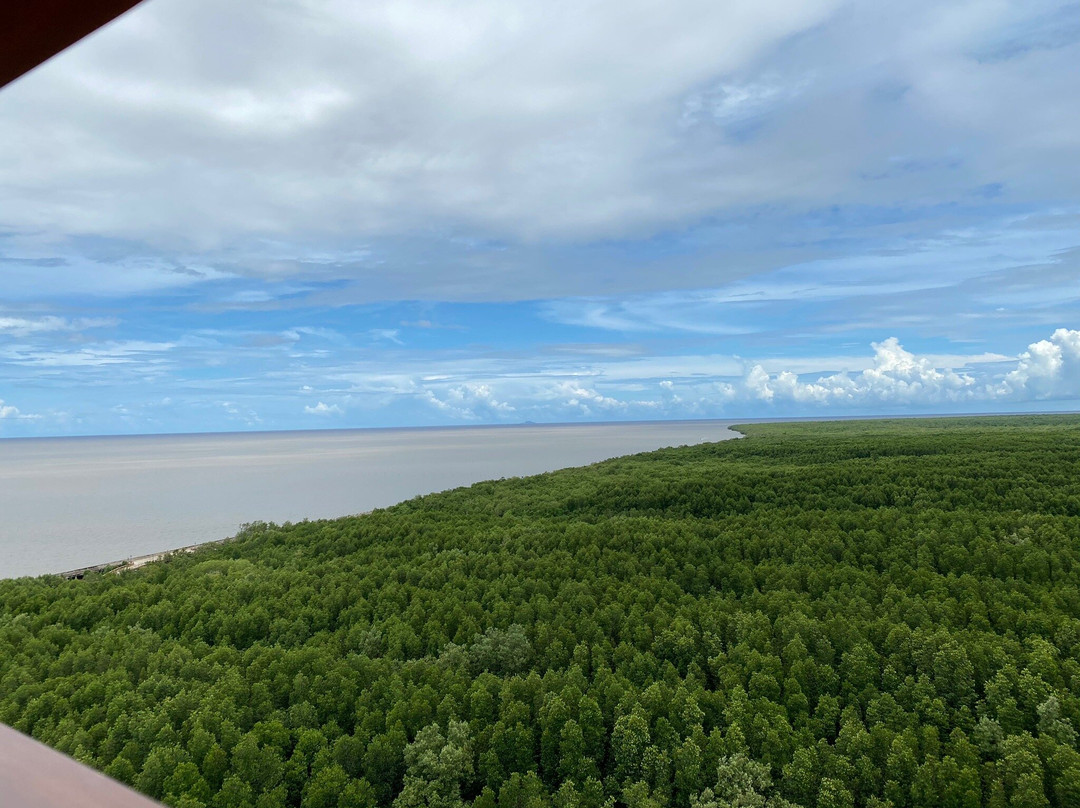 Mui Ca Mau-Ca Mau必去景点