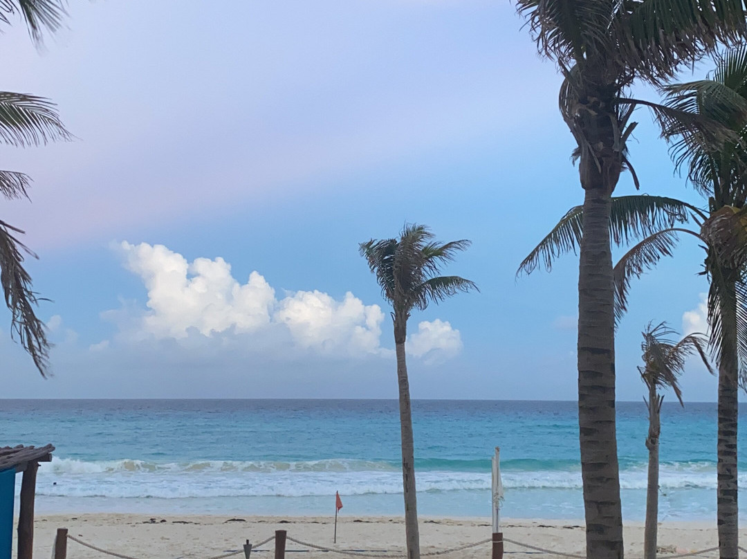 坎昆阿瓦隆大酒店主图