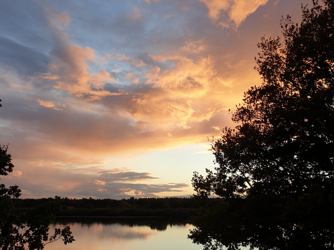 Hotel Seeblick主图