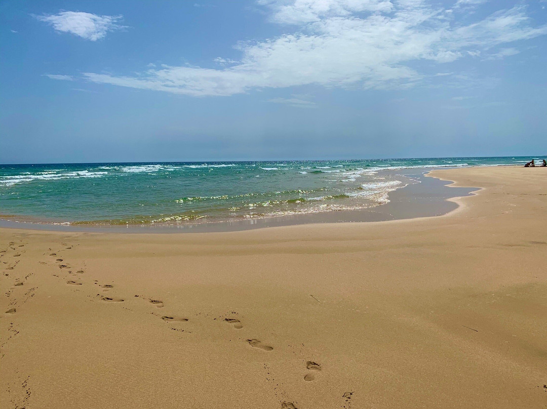 Playa de Sotavento景点图片