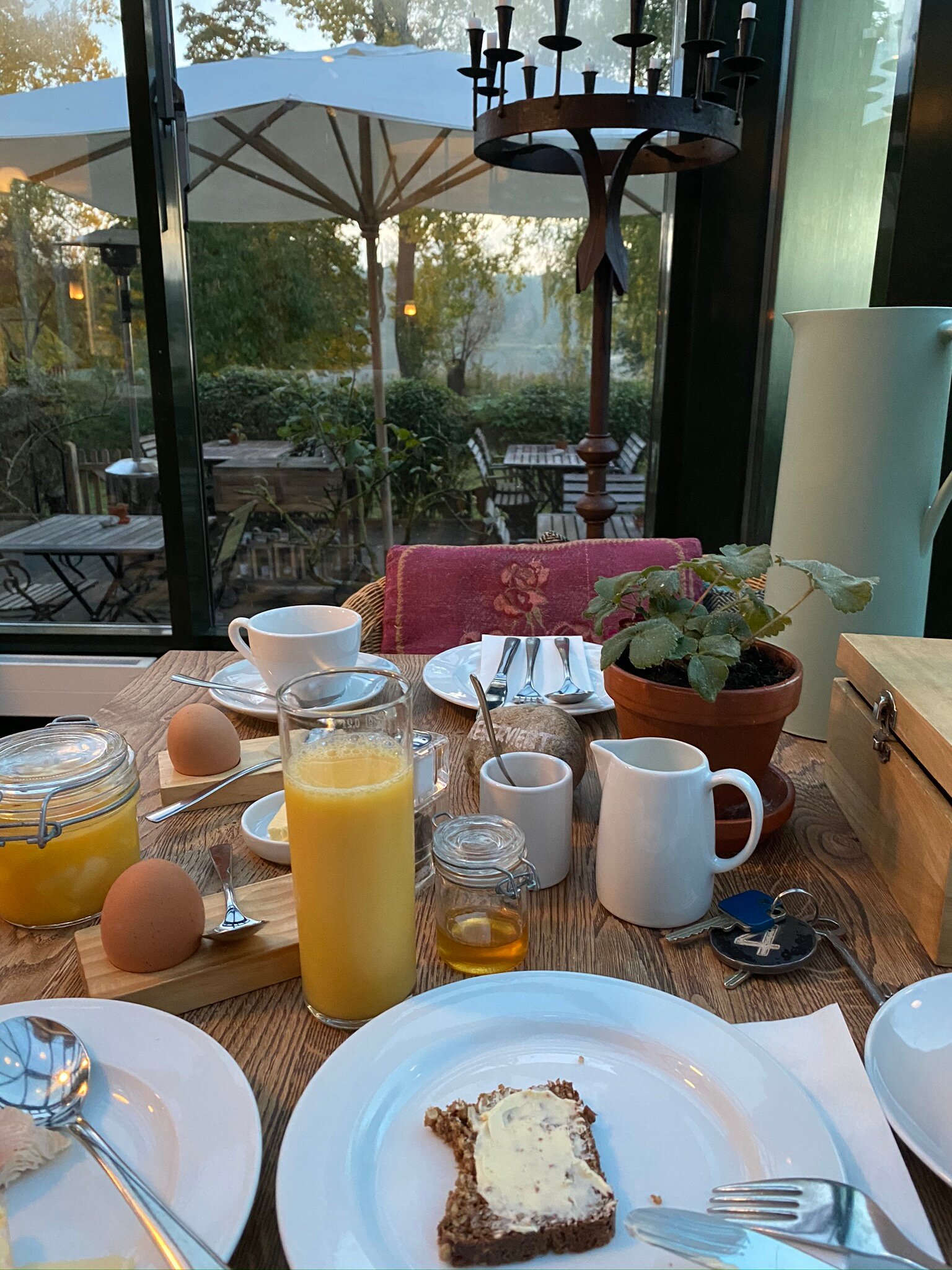 Seehotel Neuklostersee-餐饮
