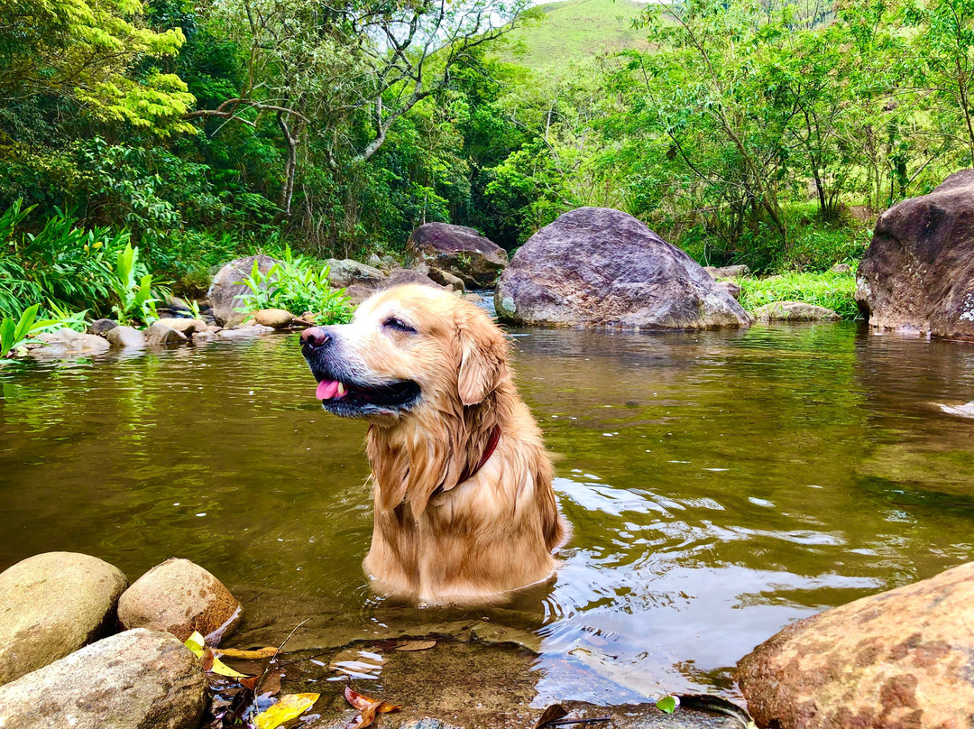 Pousada Le Ange主图