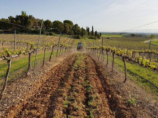 Bodegas Monte Odina, SLU-Selgua必去景点