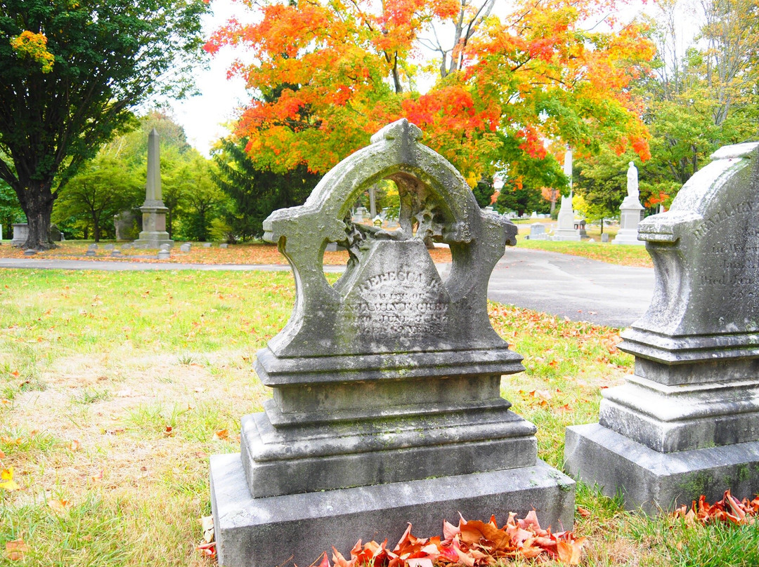 Swan Point Cemetery景点图片