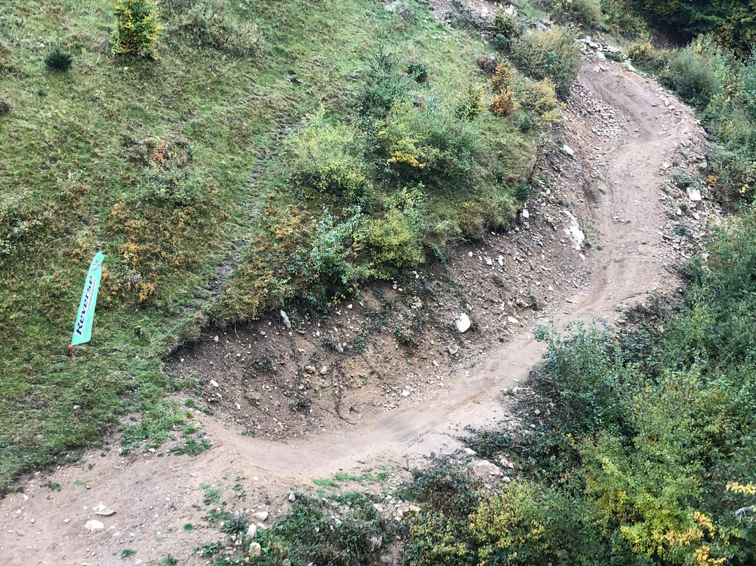 Bikepark Todtnau-托特瑙必去景点