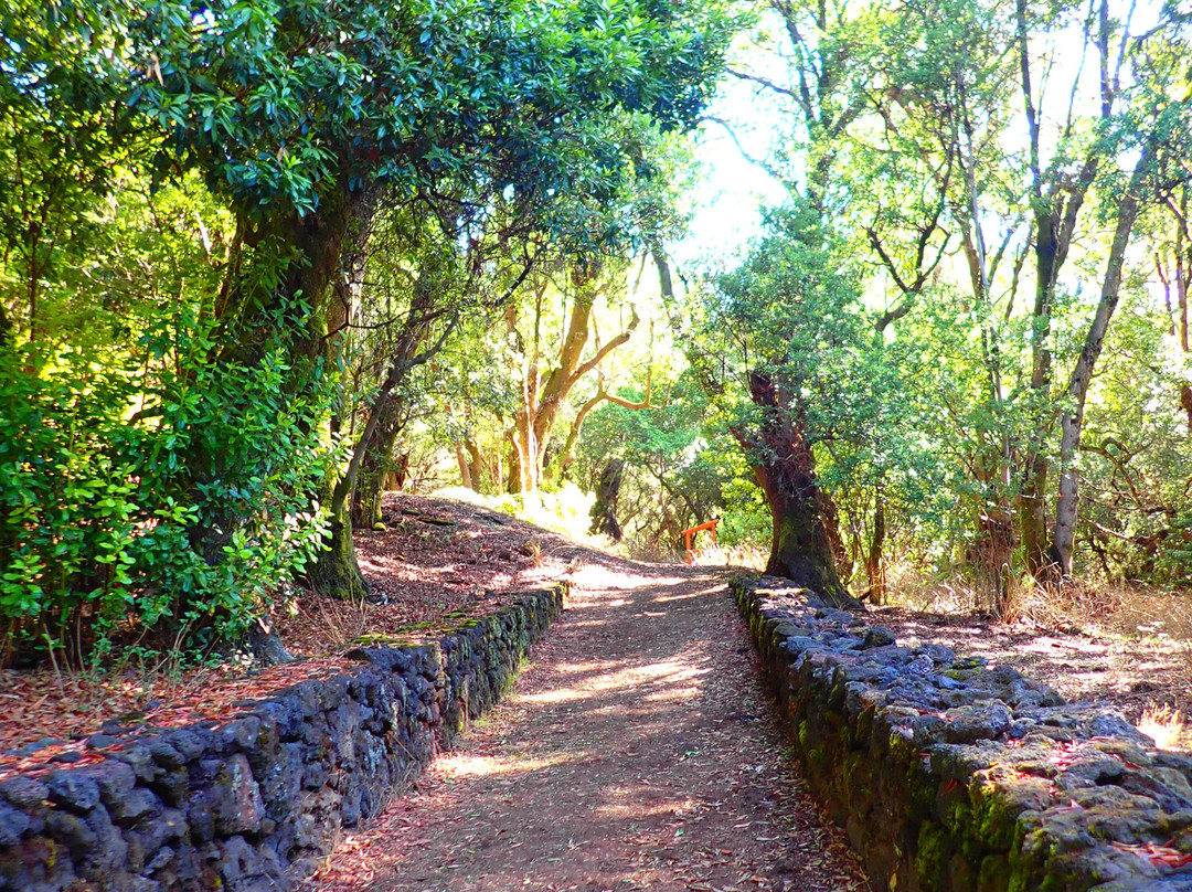 Rruta De La Llania-Valverde必去景点