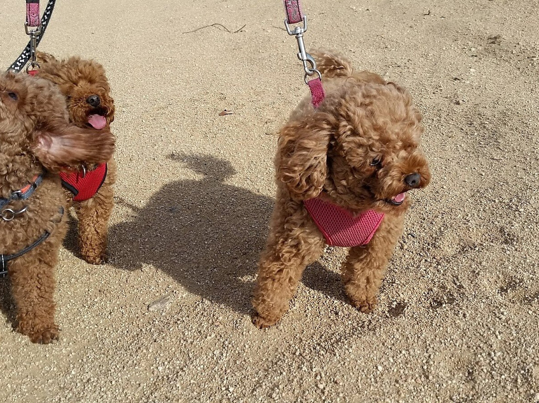 葡萄园汽车旅馆主图