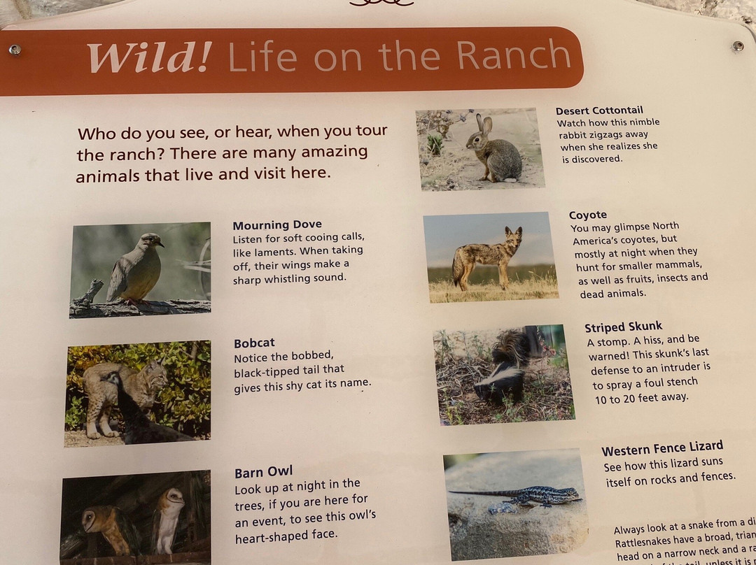 Leo Carrillo Ranch Historic Park-卡尔斯巴德必去景点