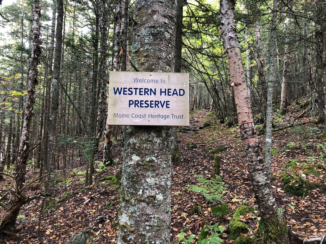 Western Head Preserve Cutler Maine景点图片