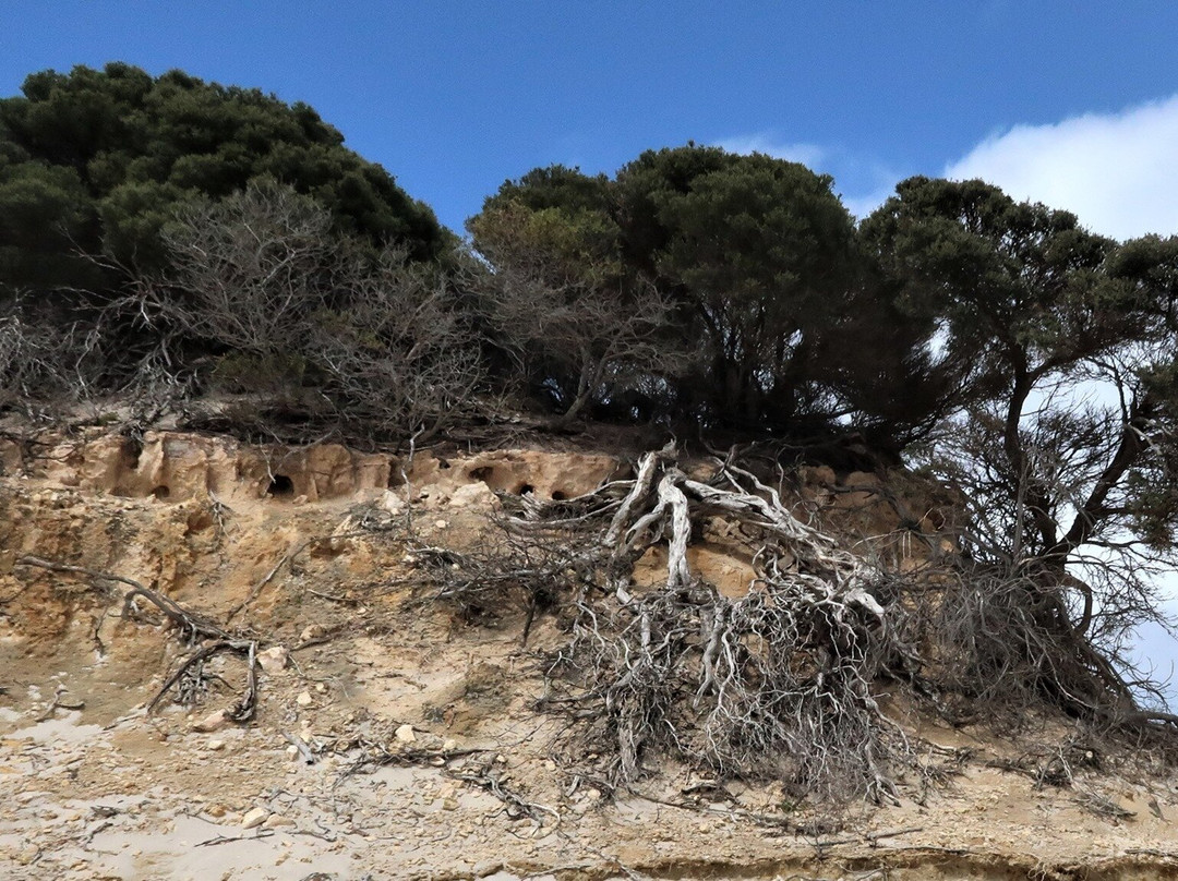 Mylies Beach-Hopetoun必去景点