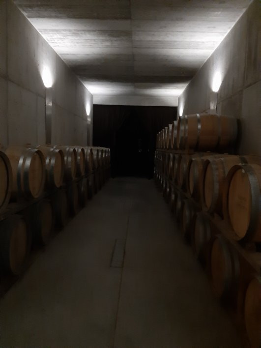 Quinta dos Capuchos景点图片