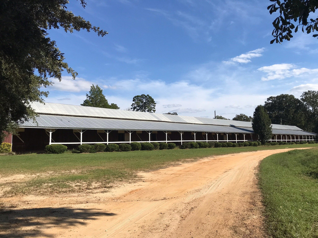 Pedego Electric Bikes-艾肯必去景点